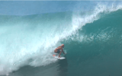 North Shore catch up