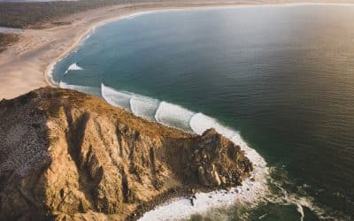 Free Scrubber starring Tom Curren