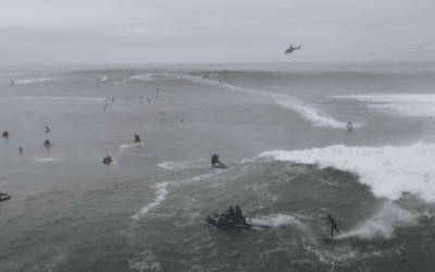 Massive Mavs