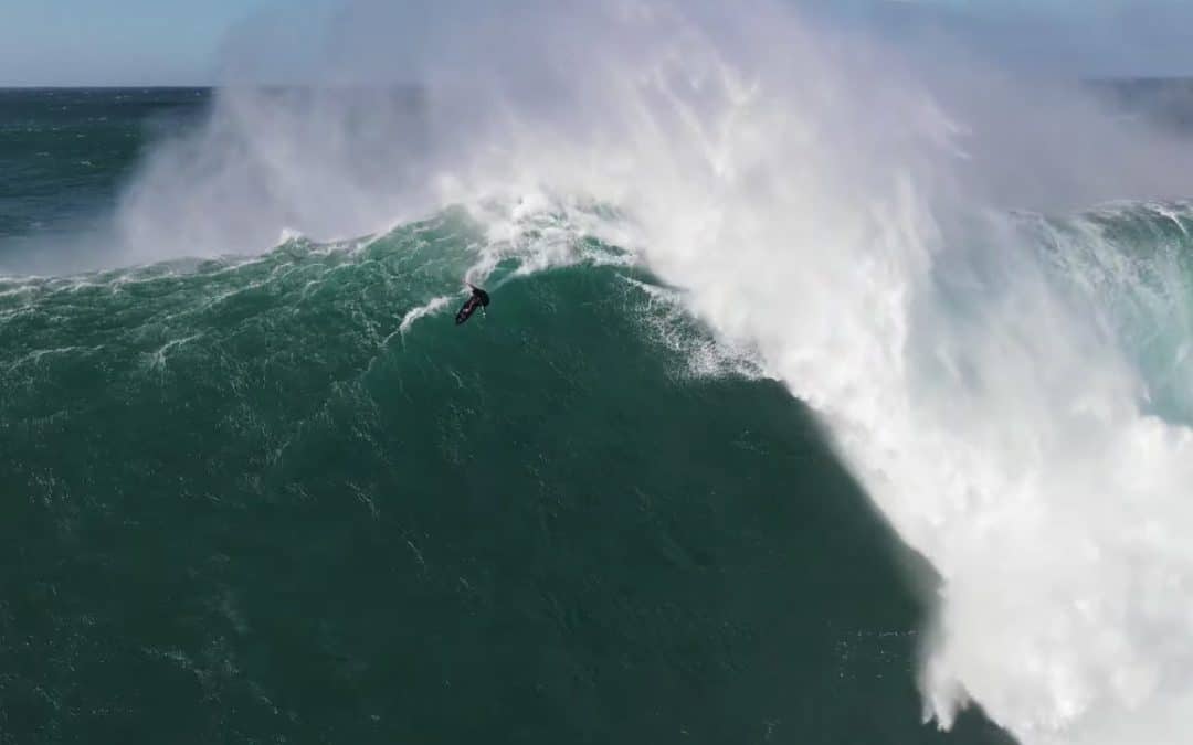 Jaws Super Saturday