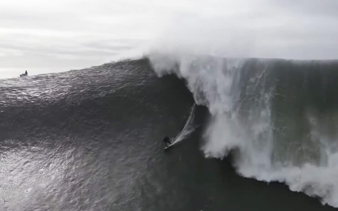MAVS WIPEOUTS
