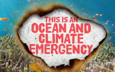 Ocean And Climate Emergency