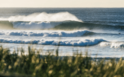 WSL Confirms Championship Tour Events for Australian Leg