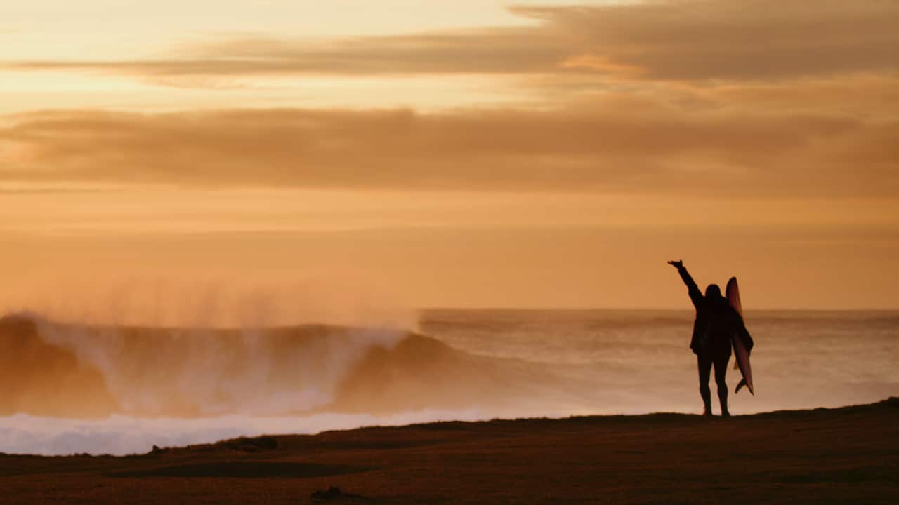We Are One Ocean