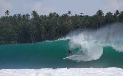 Prisma: Twin Fins VS Nias