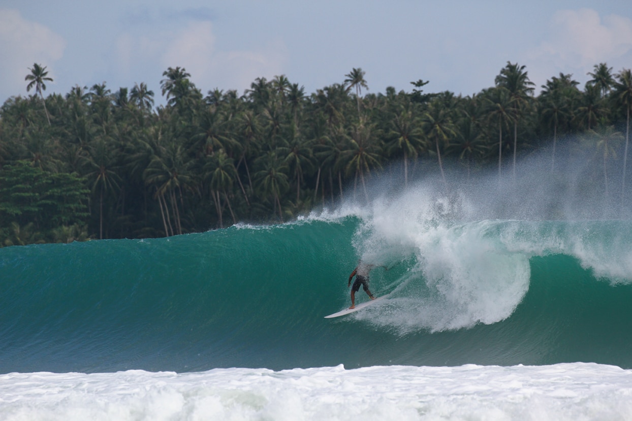 Prisma: Twin Fins VS Nias