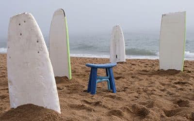 Wave Cycle