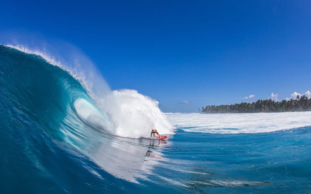 Mint Mentawai