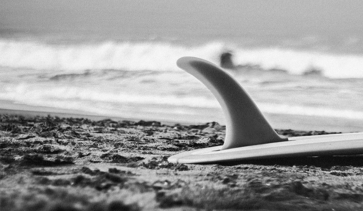 Retro & Longboard Guide 2021