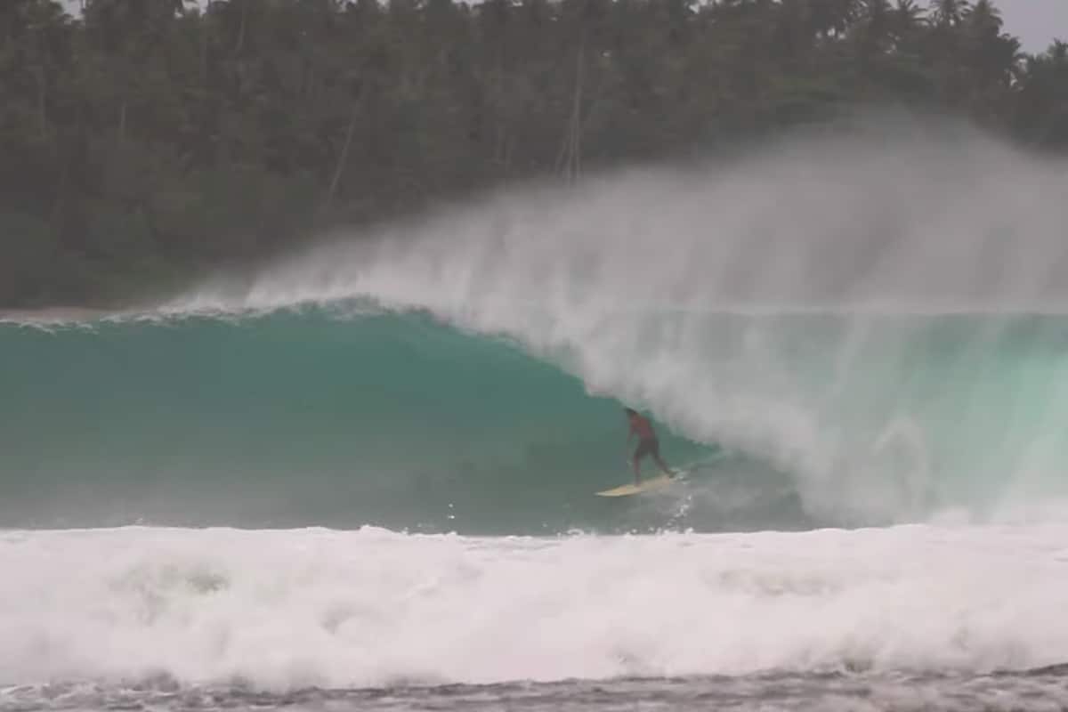 Big Ass Nias