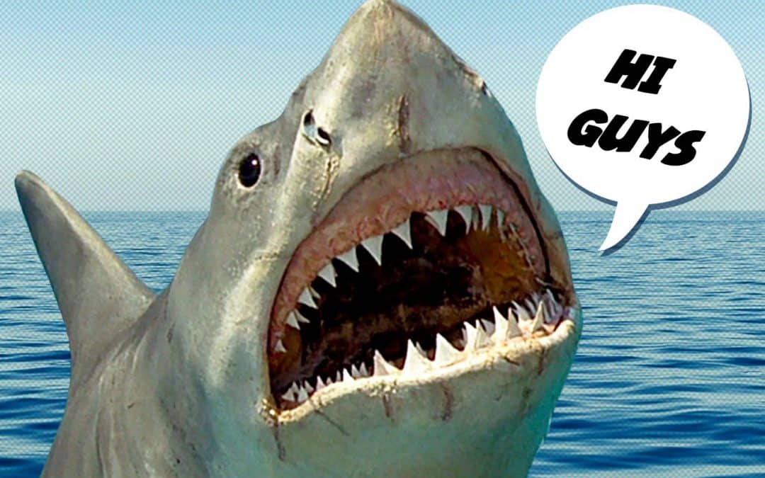 Beaches in Bournemouth were shut on Wednesday after a possible shark sighting