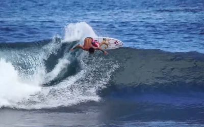 Snapt 3 | Mason Ho Section