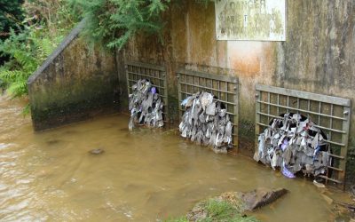 Water and sewerage companies may be allowed to discharge effluent that has not been properly treated due to chemical shortages caused by Brexit and the pandemic.