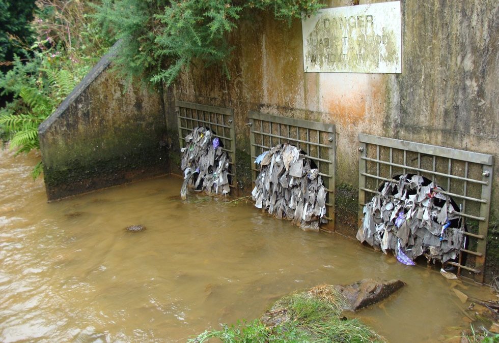 Water and sewerage companies may be allowed to discharge effluent that has not been properly treated due to chemical shortages caused by Brexit and the pandemic.