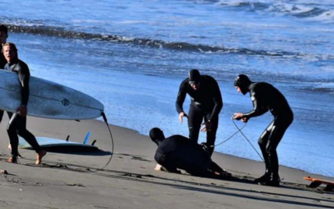 Shark Attacks Surfer