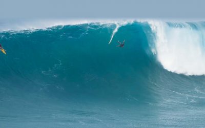Jaws Wide Open