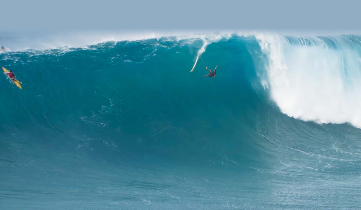 Jaws Wide Open