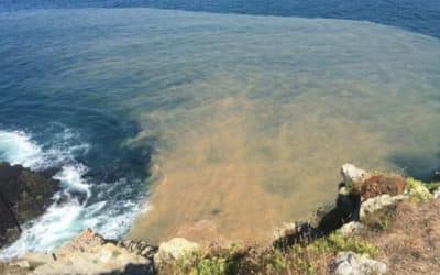 Conservative MPs vote to continue to allow sewage discharge with no legal penalties, targets or time frame.