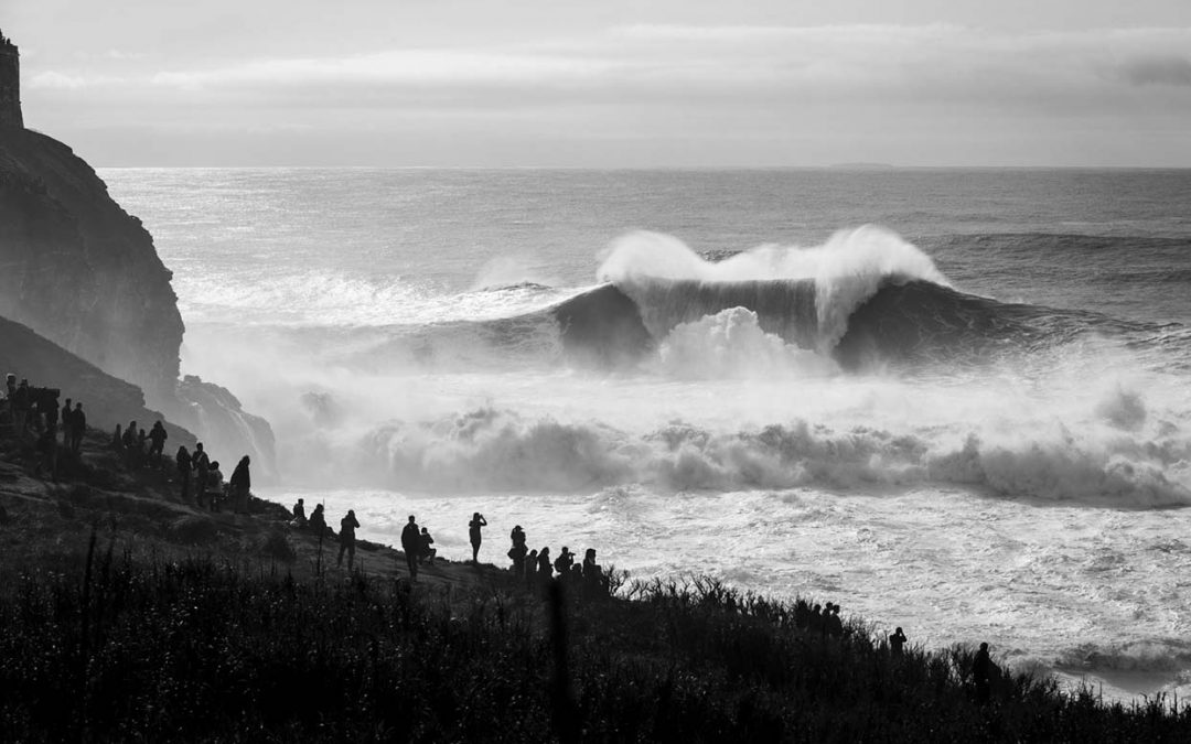 Nazaré Comp On Standby