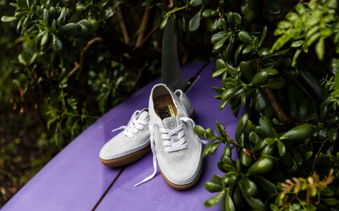 Vans Introduces the Circle Vee