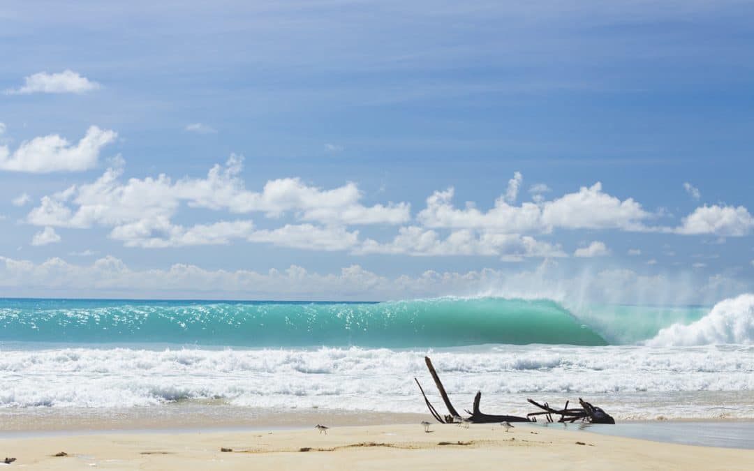 Save Barbuda