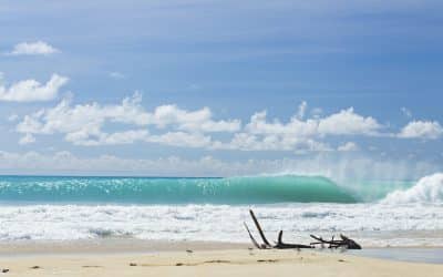 Save Barbuda