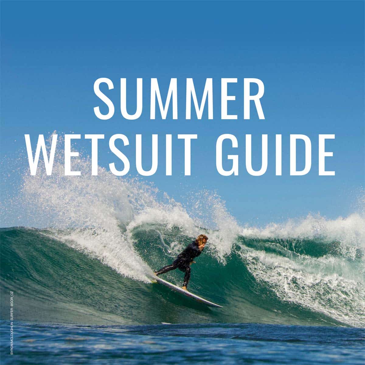 CV211_wesuit guide opener online photo: Sharpy
