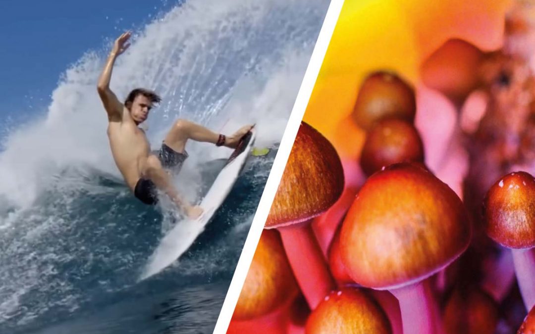 Resurfacing: Koa Smith