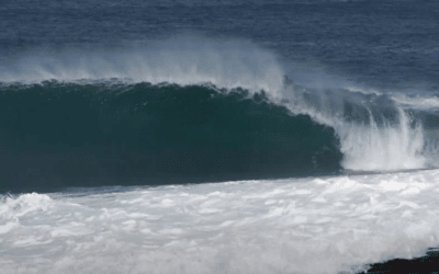 Mason Ho finds exactly what he came for