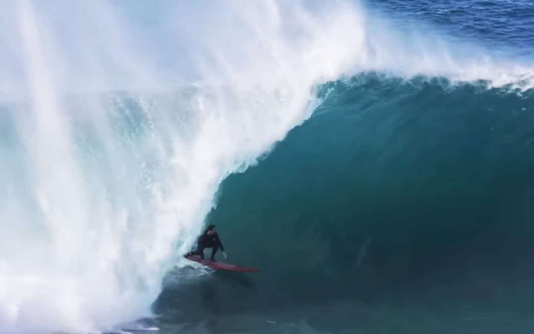 Raw NSW Monsters