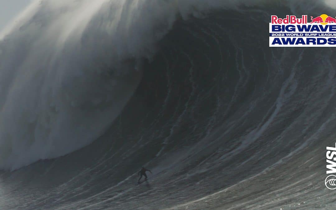 2022 Red Bull Big Wave Award Winners