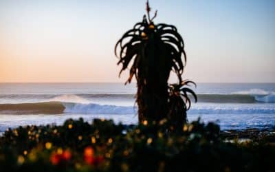 Corona Open J-Bay