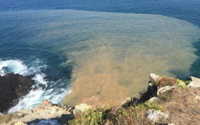 Legal action launched to stop water companies dumping sewage in rivers and coastal waters
