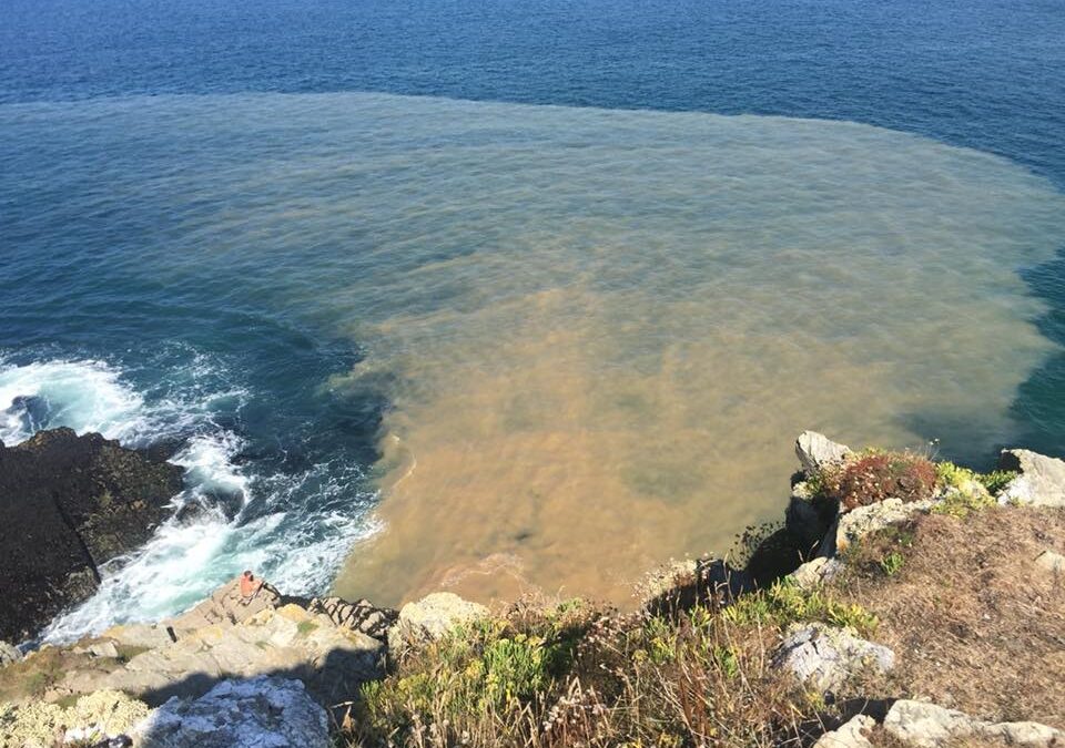 Legal action launched to stop water companies dumping sewage in rivers and coastal waters