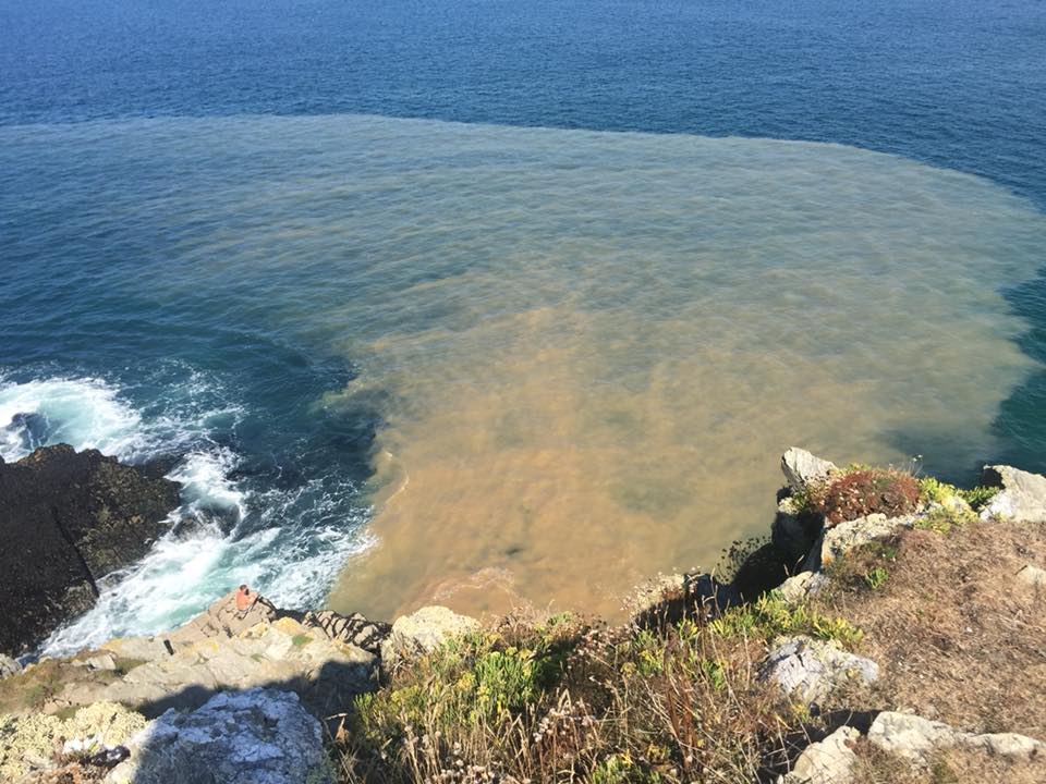 Legal action launched to stop water companies dumping sewage in rivers and coastal waters