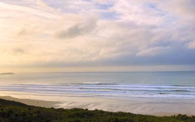 UK surfers experience warmest November weekend for a long time