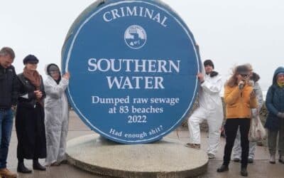 Health professionals and protesters to highlight human health impact of sewage by naming MPs on blue plaques