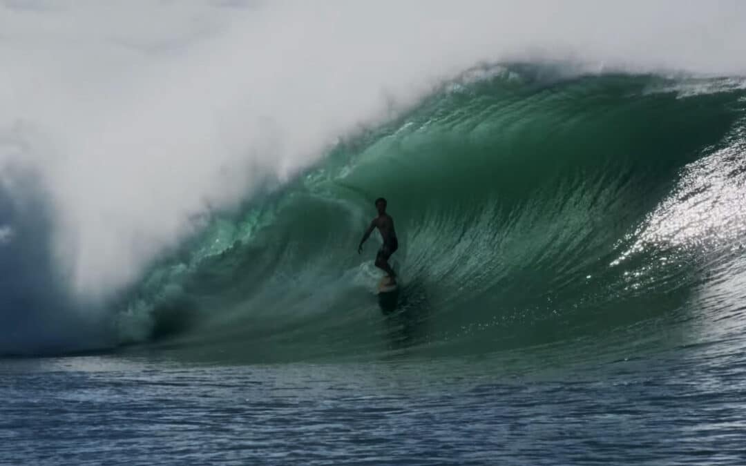 Mason Ho 2022 Highlights