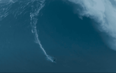 Ocean Film Festival World Tour Virtual edition is coming !