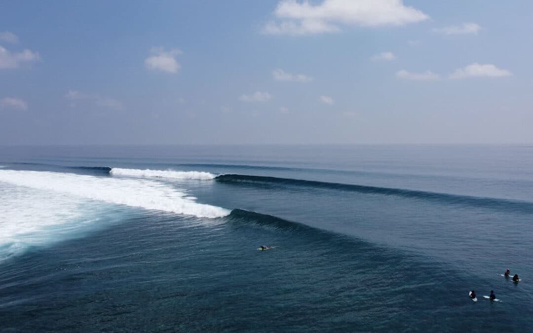Maldives Surf Charter