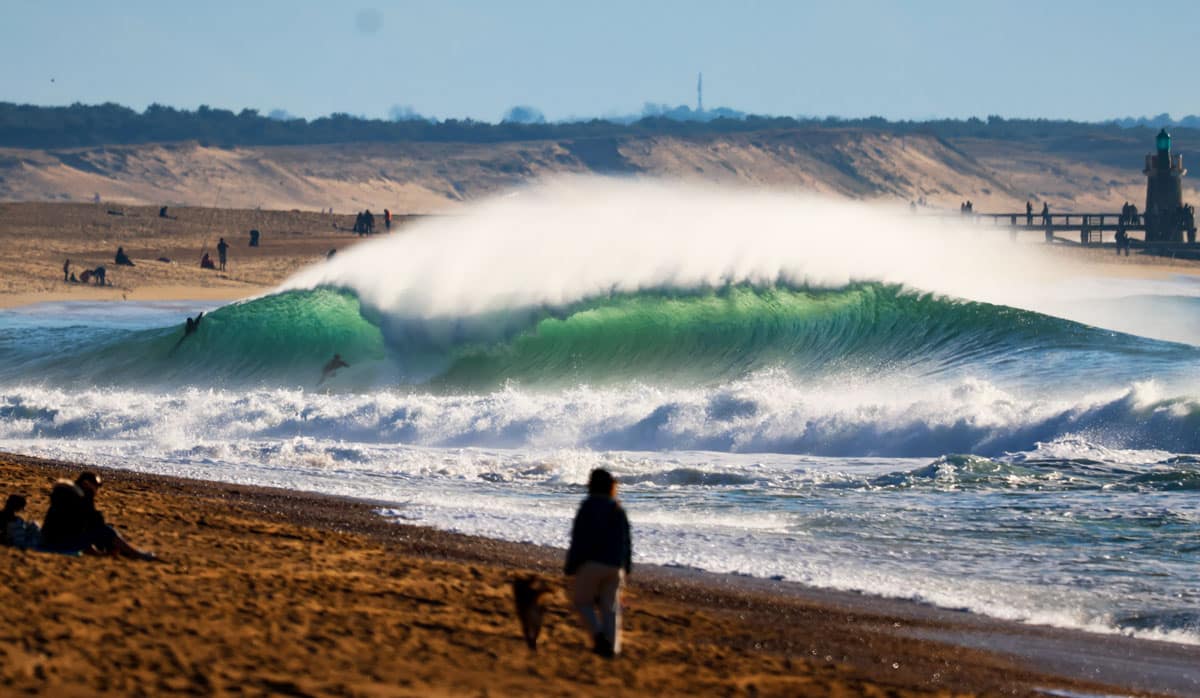 French Exits - Carvemag.com