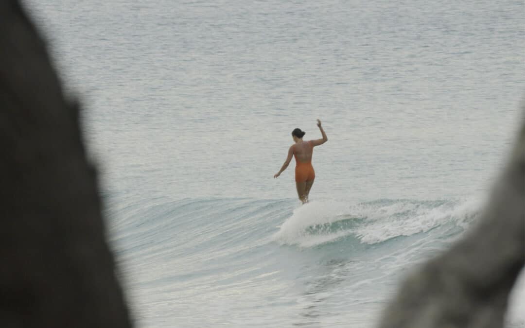 Dear Noosa