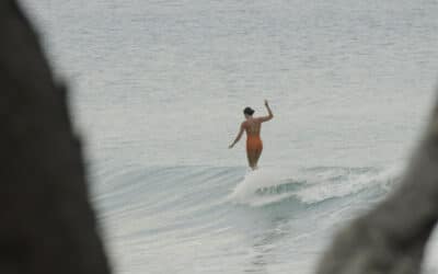 Dear Noosa