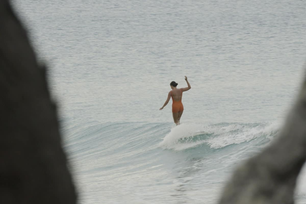 Dear Noosa