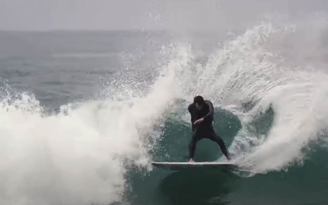 Seems Fishy, 5’5″ x 19 1/4