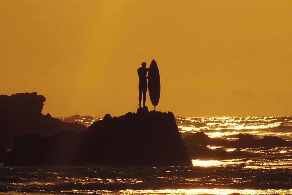 Carve Surfboard Guide 2023