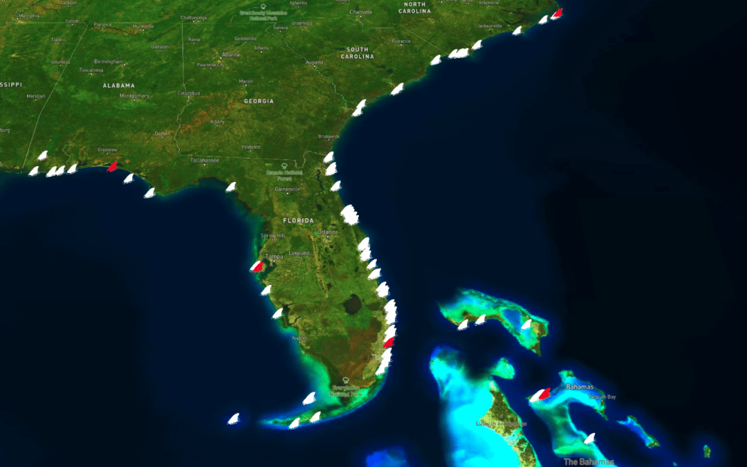 Everything you need to know about shark ‘attacks’