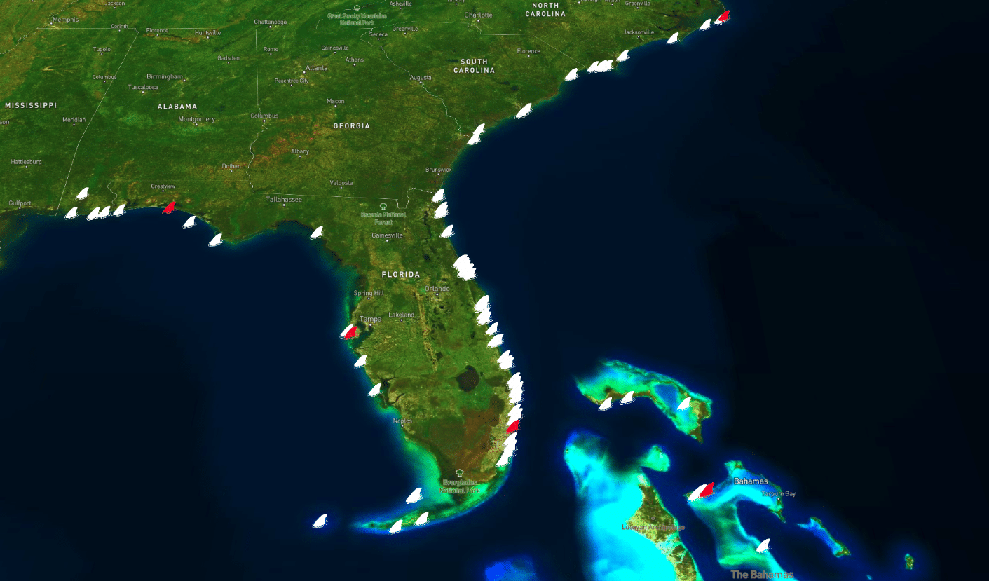 Everything you need to know about shark ‘attacks’