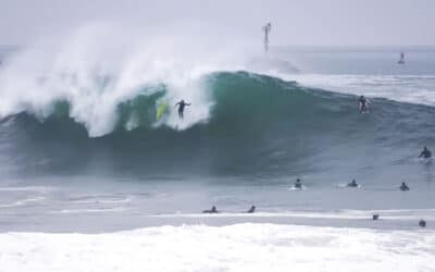 Newport Wedge, Pleasure & Pain