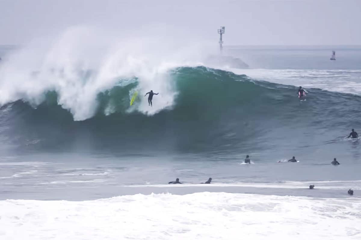 Newport Wedge, Pleasure & Pain